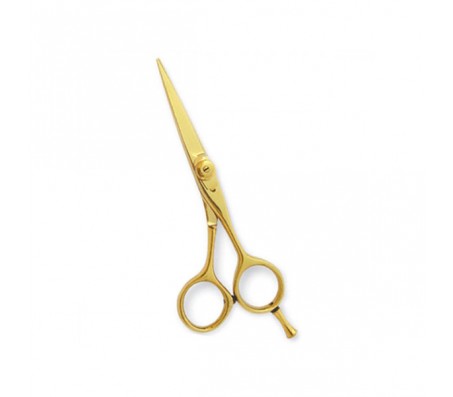 Professional Hair Cutting Scissors